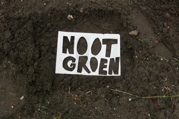 nootgroenplanten